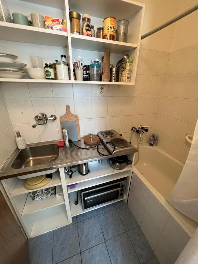 Apartment Lublanska 48 Prague Ngoại thất bức ảnh